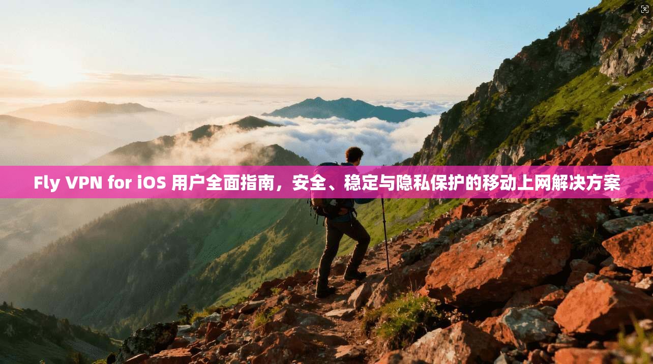 Fly VPN for iOS 用户全面指南,安全、稳定与隐私保护的移动上网解决方案 Fly VPN for iOS 用户全面指南,安全、稳定与隐私保护的移动上网解决方案