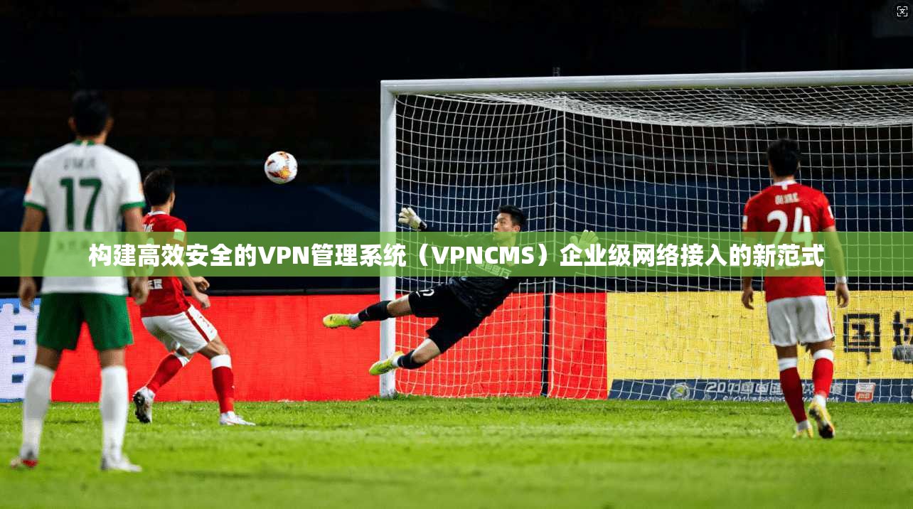构建高效安全的VPN管理系统（VPNCMS）企业级网络接入的新范式