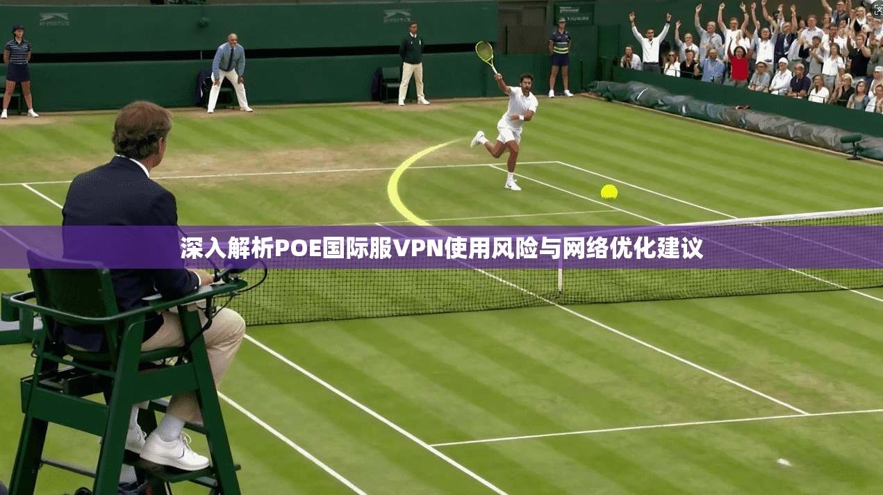 深入解析POE国际服VPN使用风险与网络优化建议