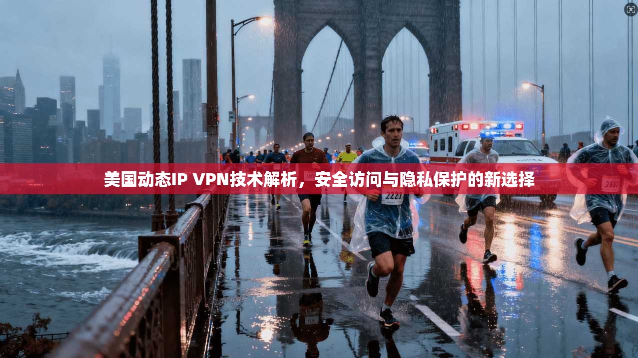 美国动态IP VPN技术解析，安全访问与隐私保护的新选择