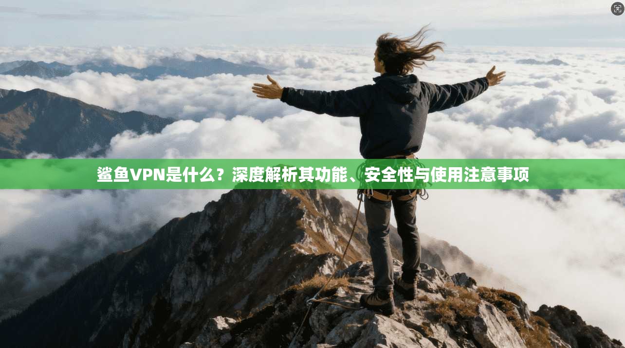 鲨鱼VPN是什么?深度解析其功能、安全性与使用注意事项 鲨鱼VPN是什么?深度解析其功能、安全性与使用注意事项