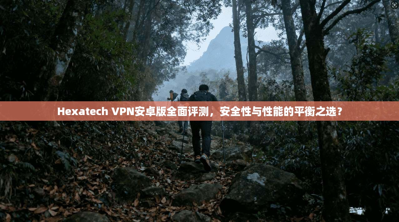 Hexatech VPN安卓版全面评测，安全性与性能的平衡之选？