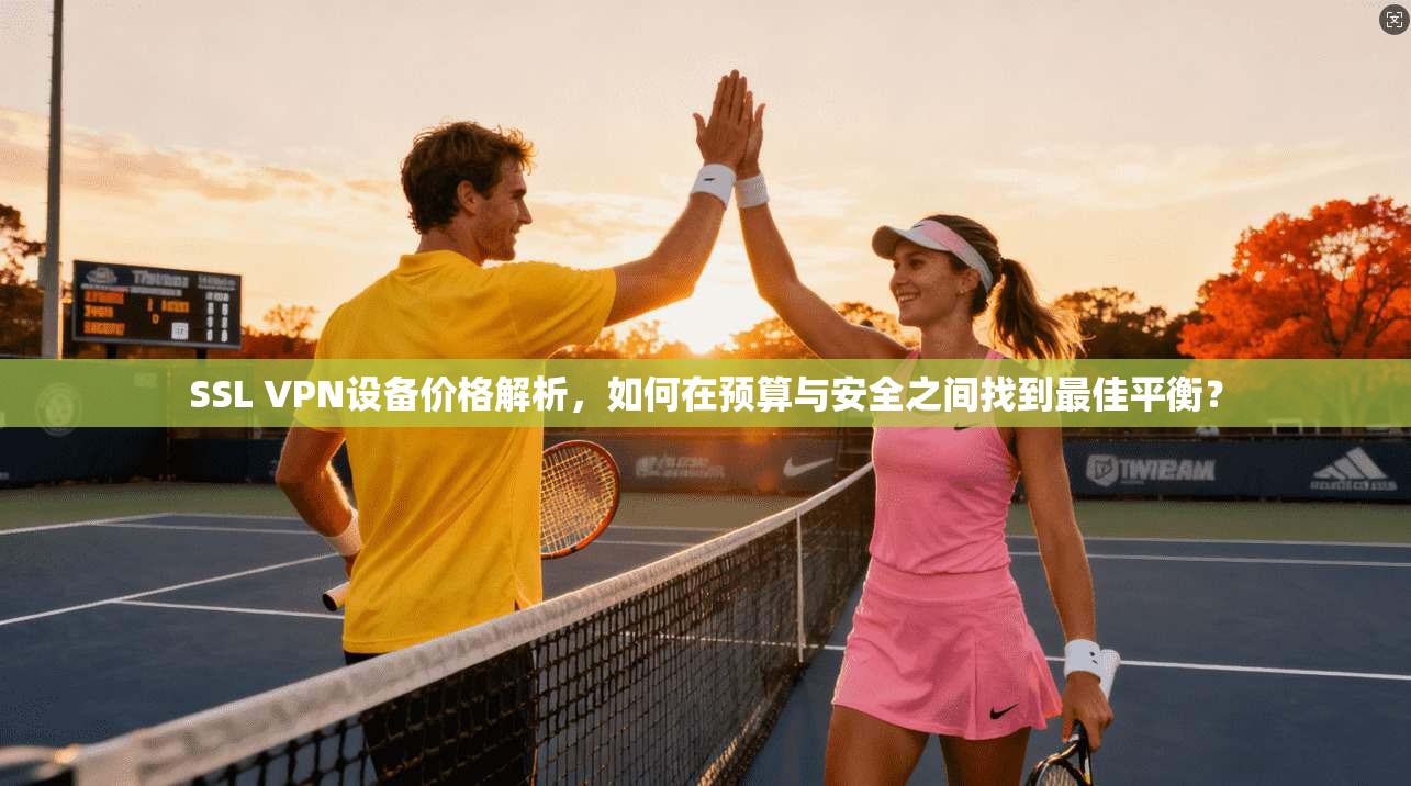 SSL VPN设备价格解析，如何在预算与安全之间找到最佳平衡？