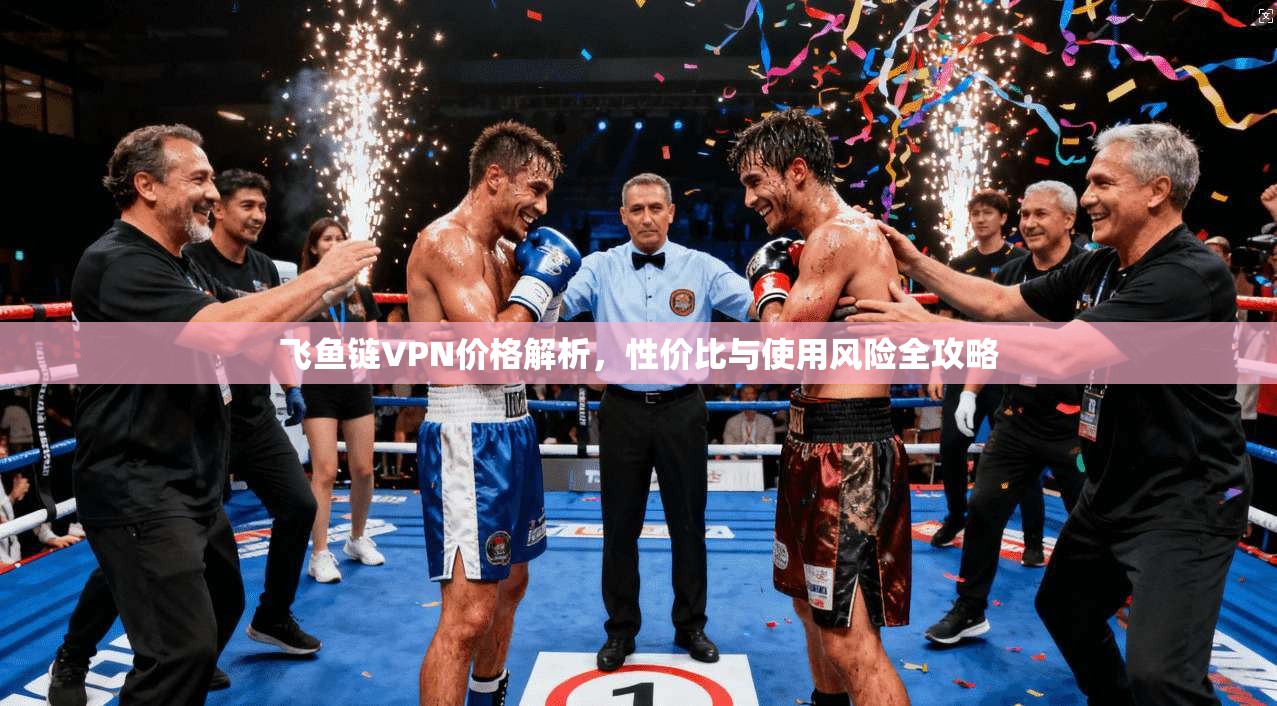 飞鱼链VPN价格解析，性价比与使用风险全攻略