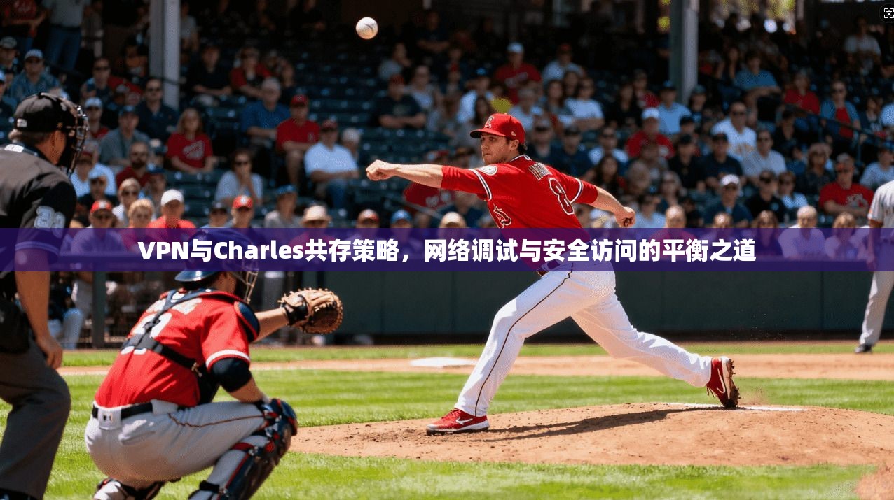 VPN与Charles共存策略，网络调试与安全访问的平衡之道