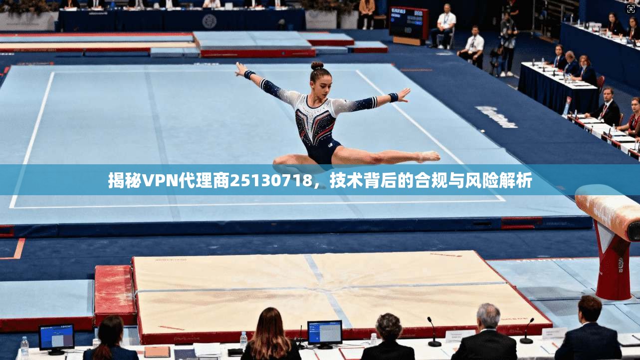 揭秘VPN代理商25130718,技术背后的合规与风险解析 揭秘VPN代理商25130718,技术背后的合规与风险解析
