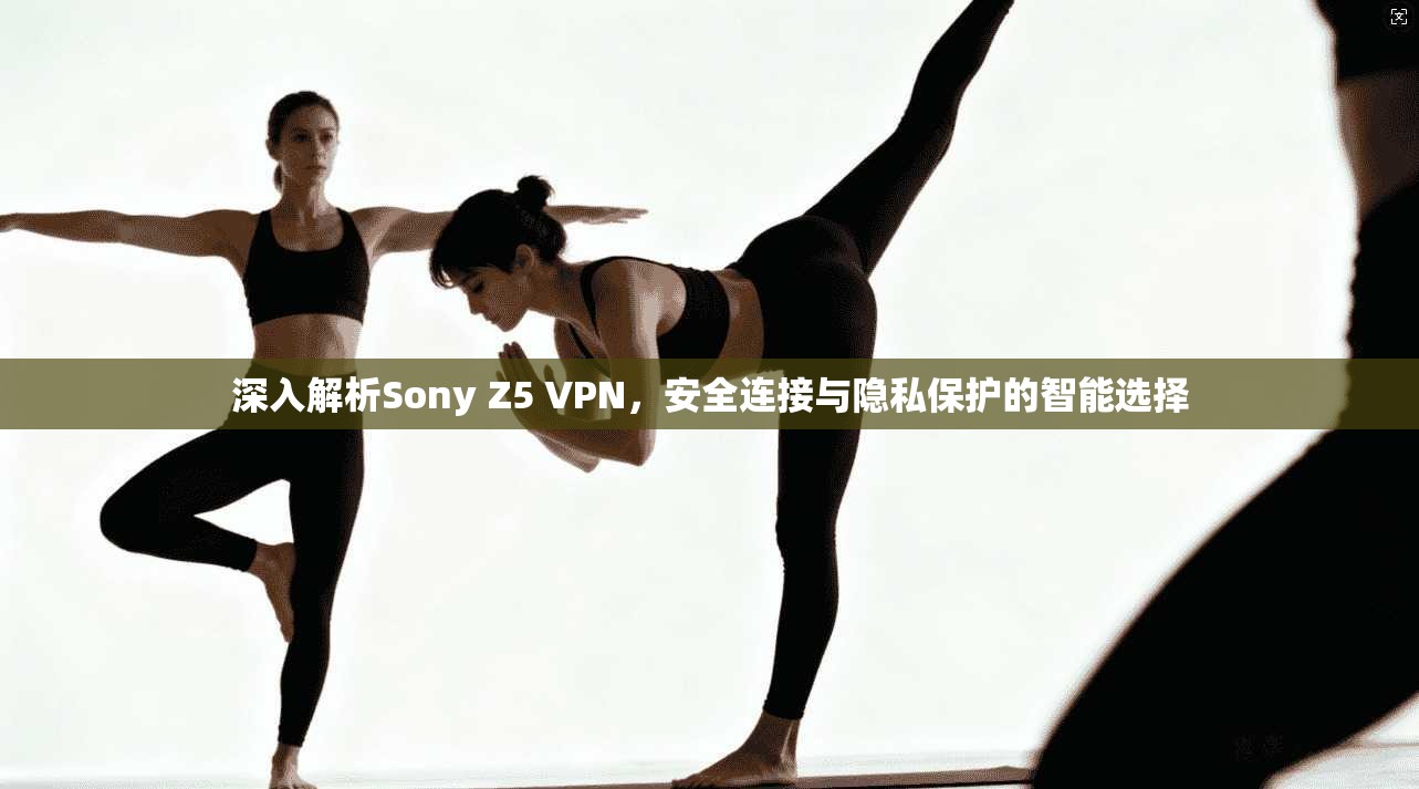 深入解析Sony Z5 VPN，安全连接与隐私保护的智能选择