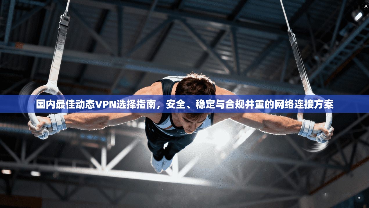 国内最佳动态VPN选择指南，安全、稳定与合规并重的网络连接方案