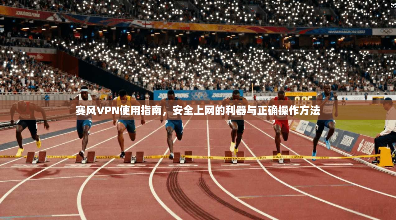 赛风VPN使用指南，安全上网的利器与正确操作方法