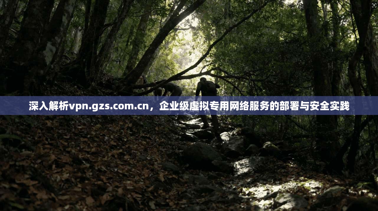 深入解析vpn.gzs.com.cn，企业级虚拟专用网络服务的部署与安全实践