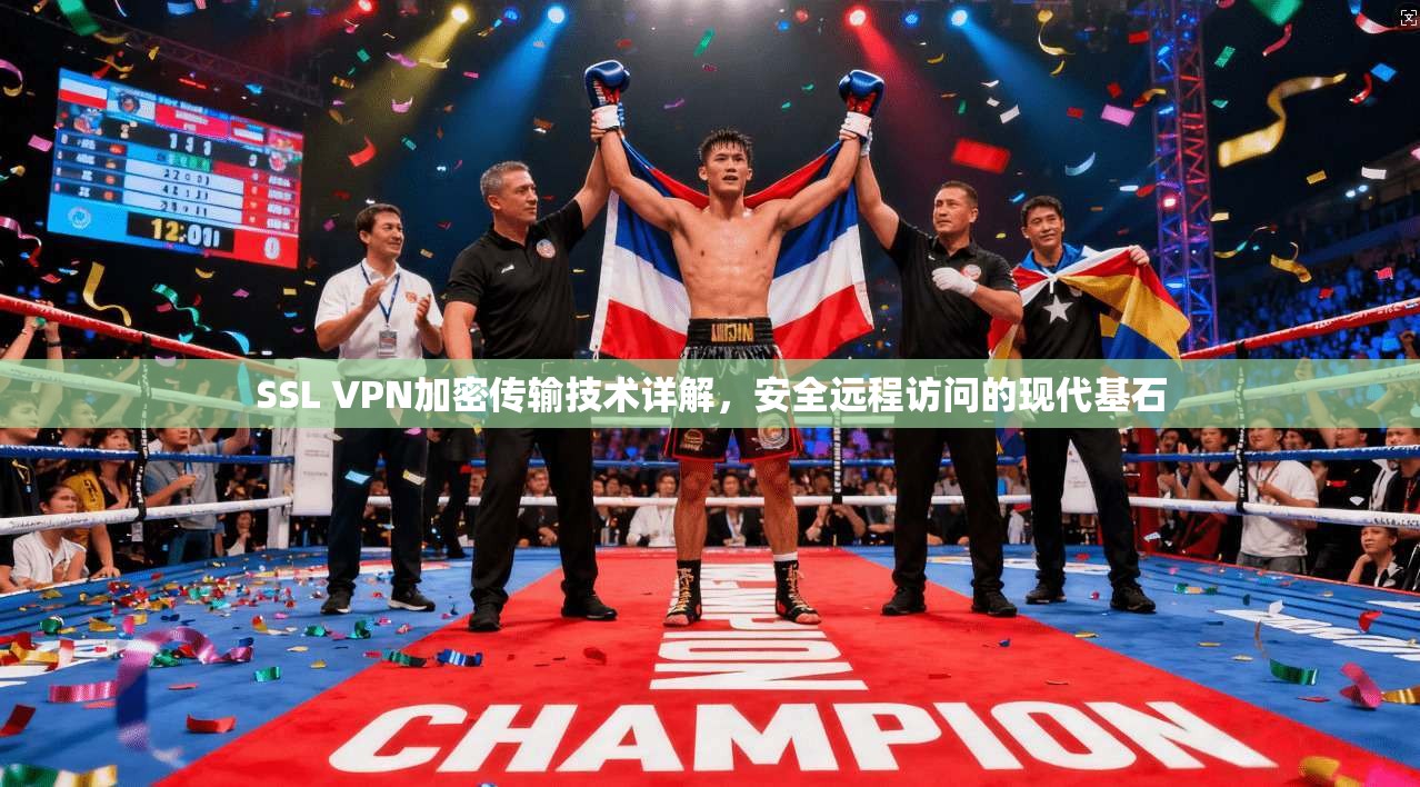 SSL VPN加密传输技术详解，安全远程访问的现代基石