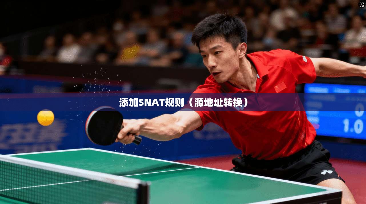 添加SNAT规则（源地址转换）