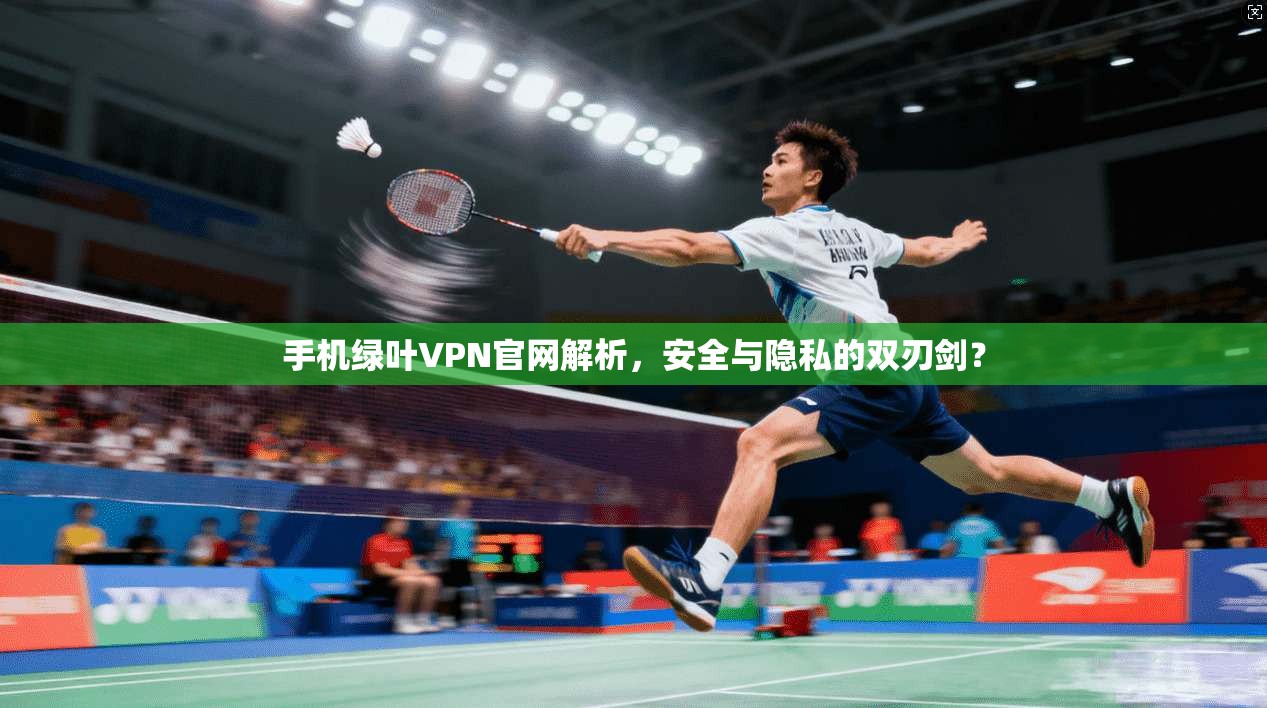 手机绿叶VPN官网解析，安全与隐私的双刃剑？