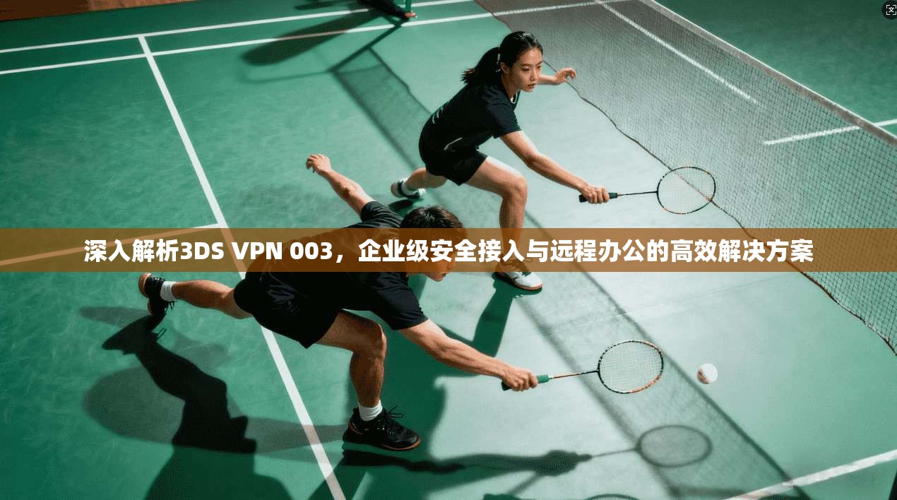 深入解析3DS VPN 003,企业级安全接入与远程办公的高效解决方案 深入解析3DS VPN 003,企业级安全接入与远程办公的高效解决方案