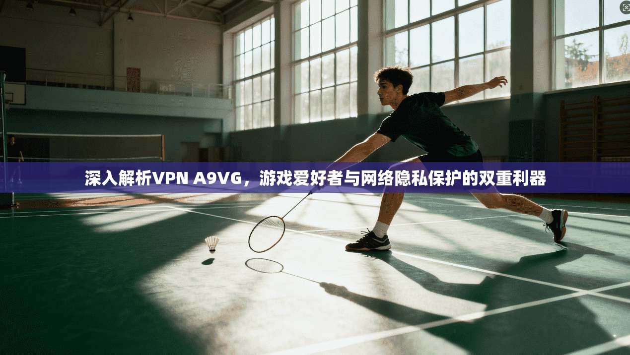 深入解析VPN A9VG，游戏爱好者与网络隐私保护的双重利器