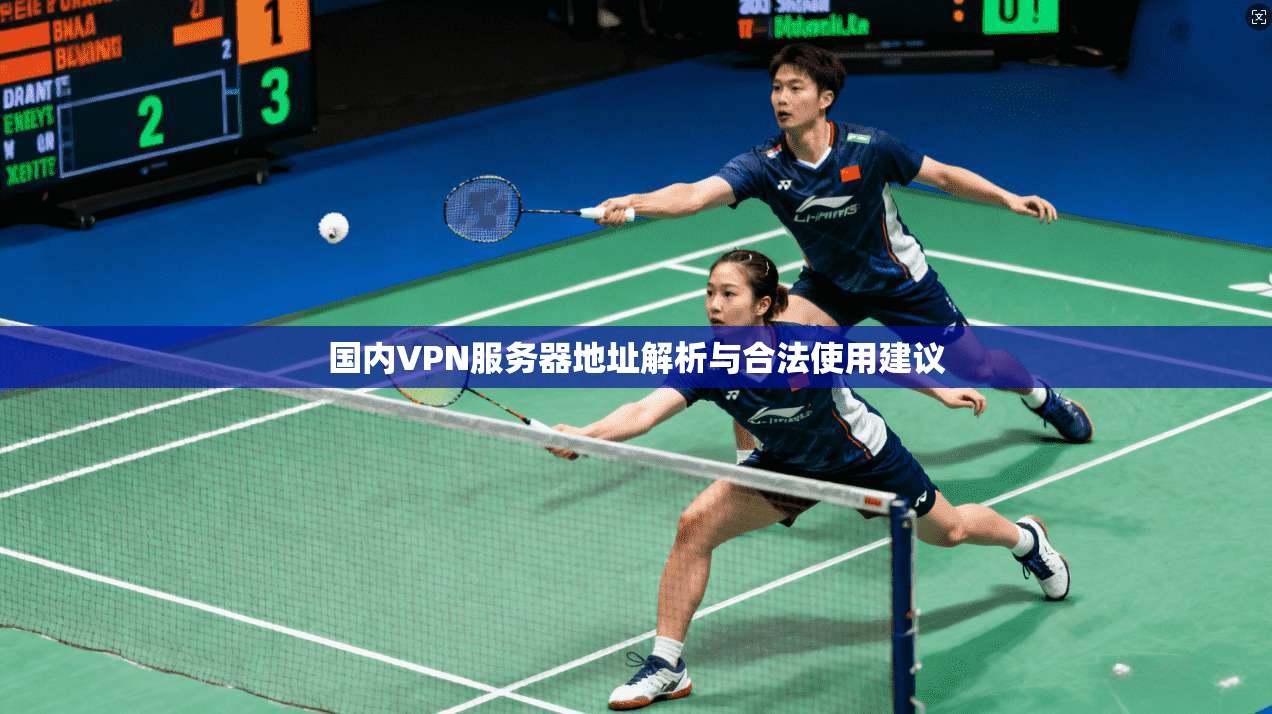 国内VPN服务器地址解析与合法使用建议