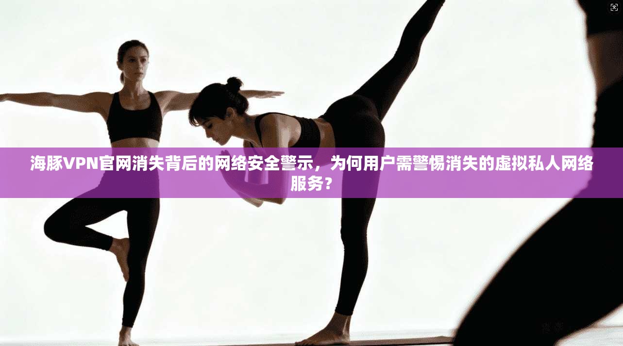 海豚VPN官网消失背后的网络安全警示，为何用户需警惕消失的虚拟私人网络服务？