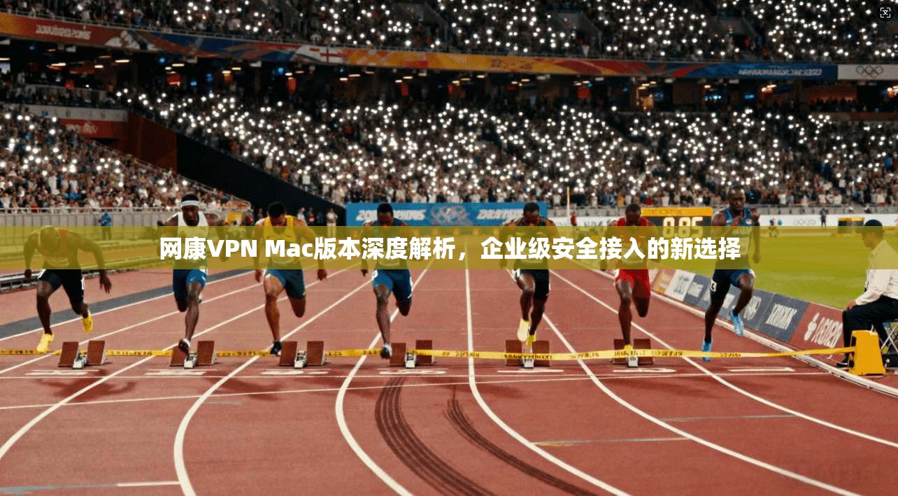 网康VPN Mac版本深度解析，企业级安全接入的新选择