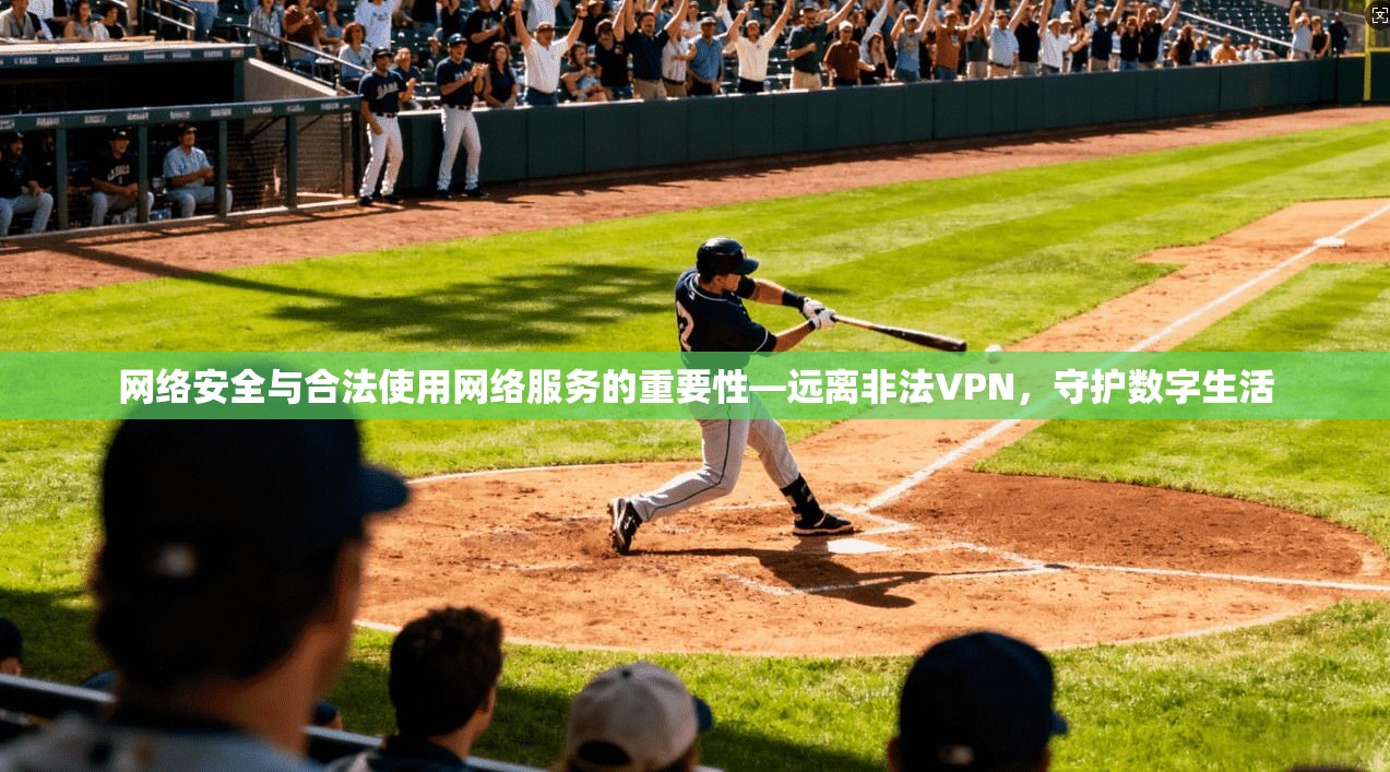 网络安全与合法使用网络服务的重要性—远离非法VPN，守护数字生活