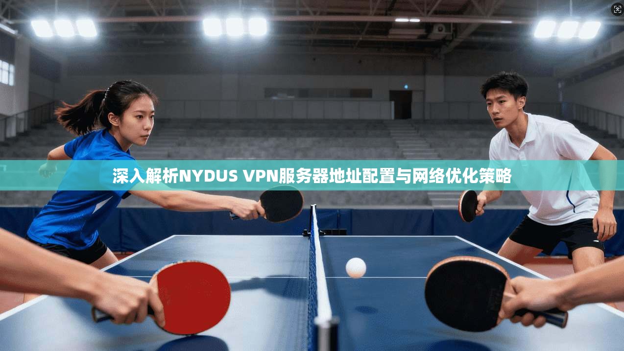 深入解析NYDUS VPN服务器地址配置与网络优化策略