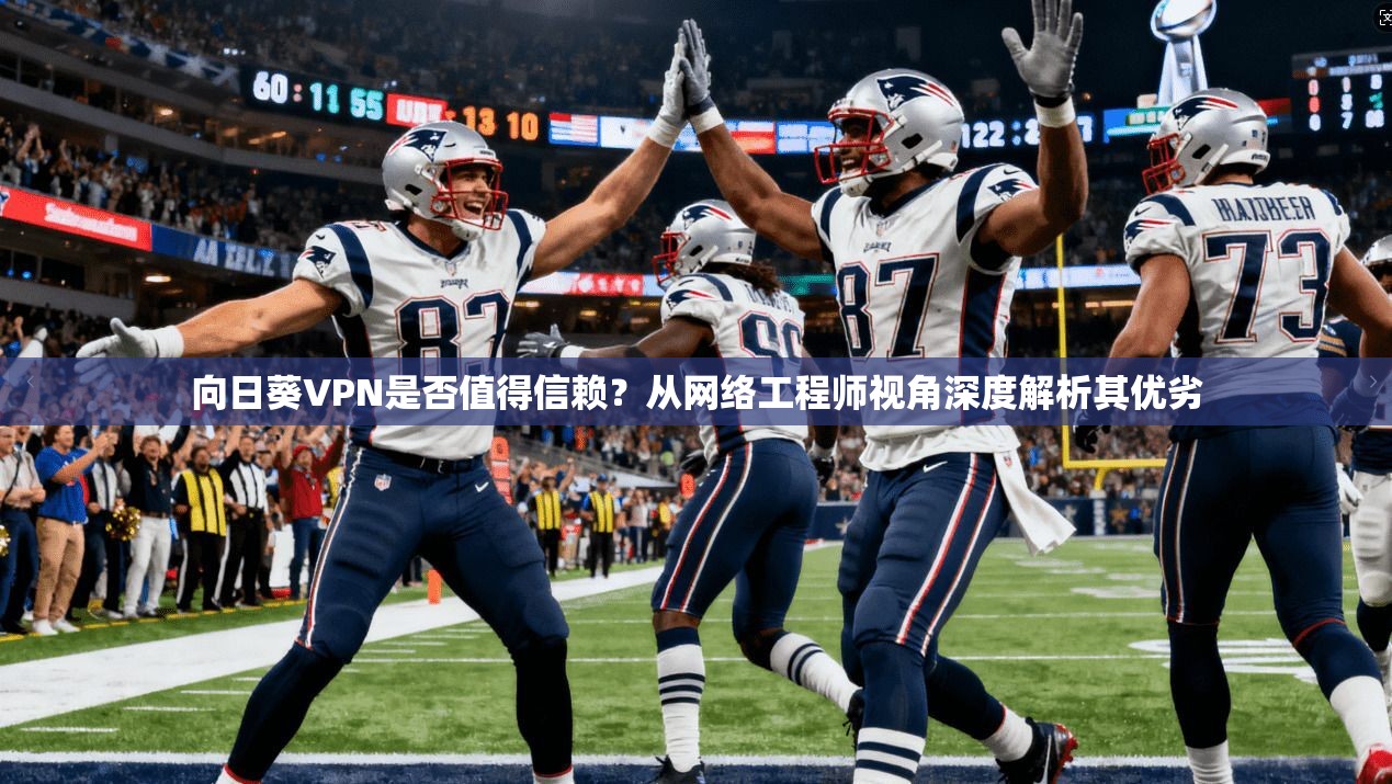 向日葵VPN是否值得信赖？从网络工程师视角深度解析其优劣