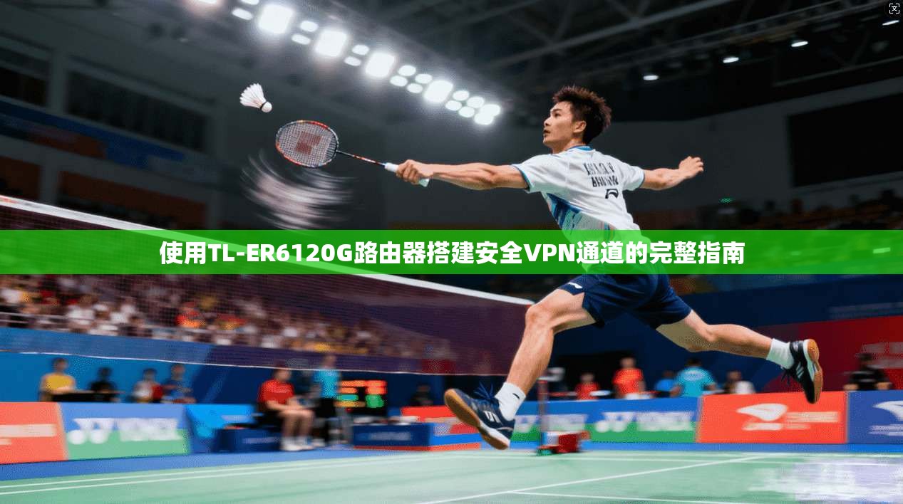 使用TL-ER6120G路由器搭建安全VPN通道的完整指南
