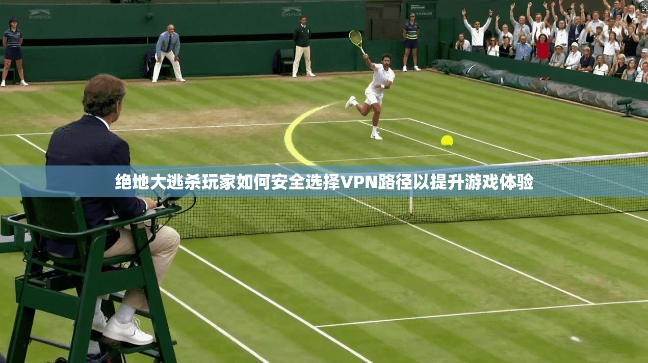 绝地大逃杀玩家如何安全选择VPN路径以提升游戏体验