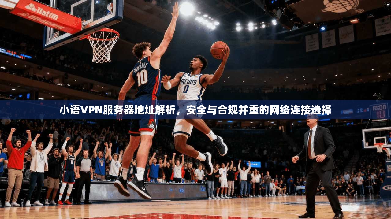 小语VPN服务器地址解析，安全与合规并重的网络连接选择