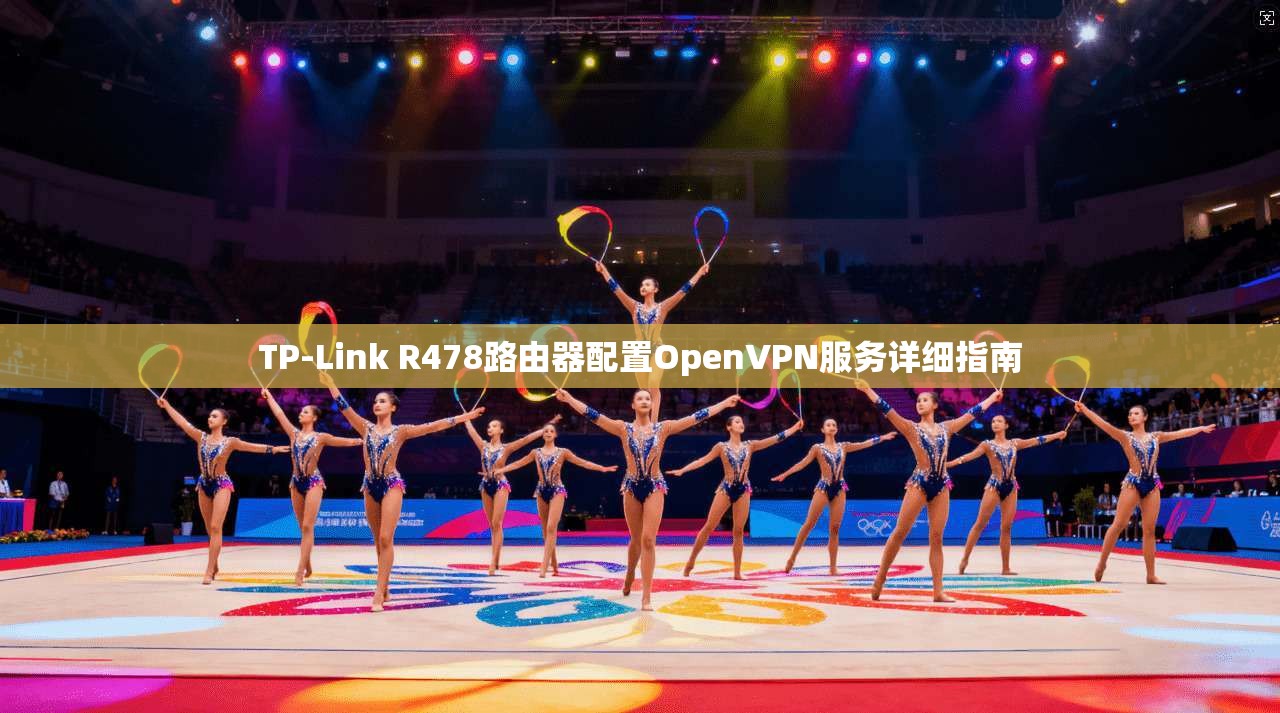 TP-Link R478路由器配置OpenVPN服务详细指南