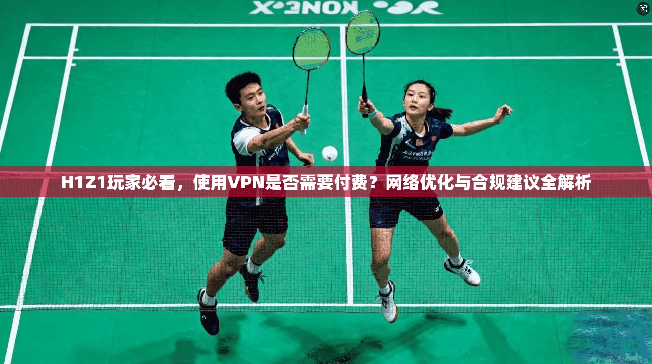 H1Z1玩家必看，使用VPN是否需要付费？网络优化与合规建议全解析