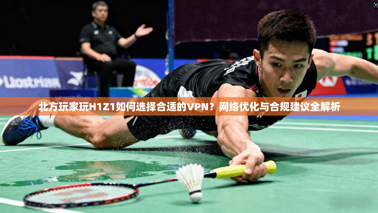 北方玩家玩H1Z1如何选择合适的VPN?网络优化与合规建议全解析 北方玩家玩H1Z1如何选择合适的VPN?网络优化与合规建议全解析