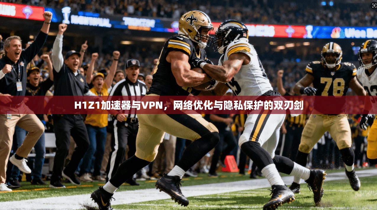 H1Z1加速器与VPN，网络优化与隐私保护的双刃剑