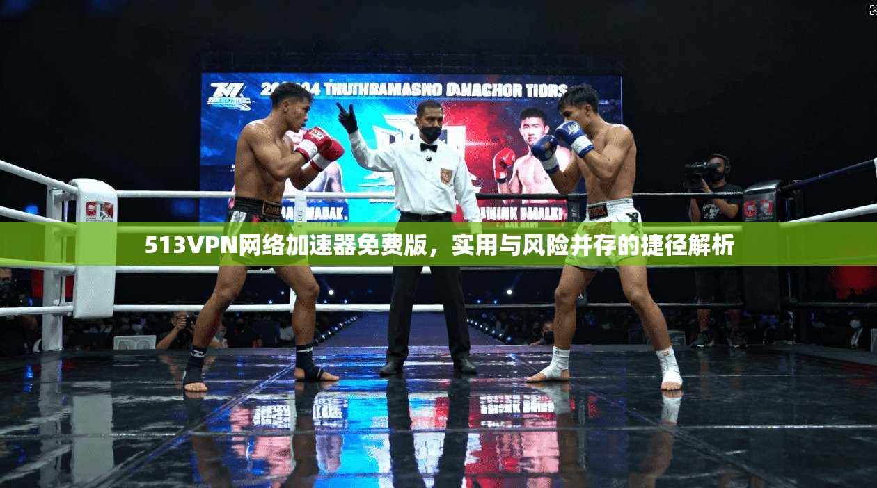 513VPN网络加速器免费版，实用与风险并存的捷径解析