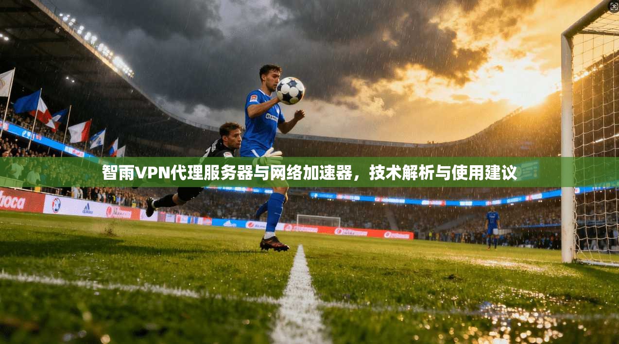 智雨VPN代理服务器与网络加速器，技术解析与使用建议