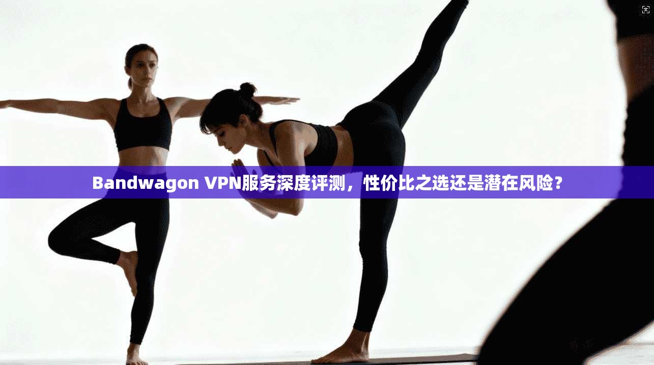 Bandwagon VPN服务深度评测，性价比之选还是潜在风险？