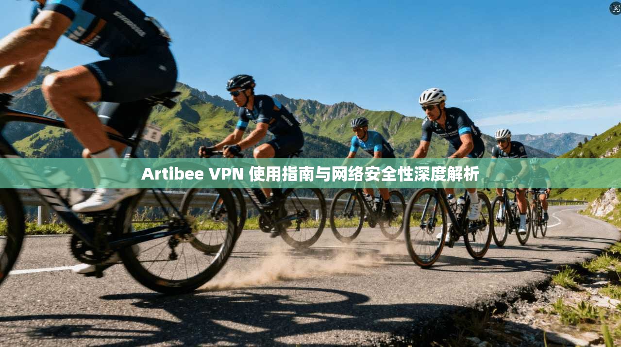 Artibee VPN 使用指南与网络安全性深度解析
