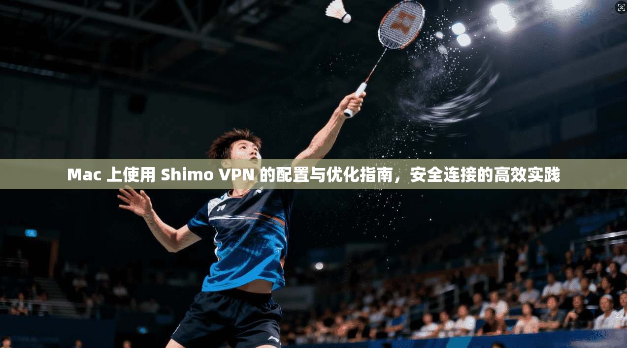 Mac 上使用 Shimo VPN 的配置与优化指南，安全连接的高效实践