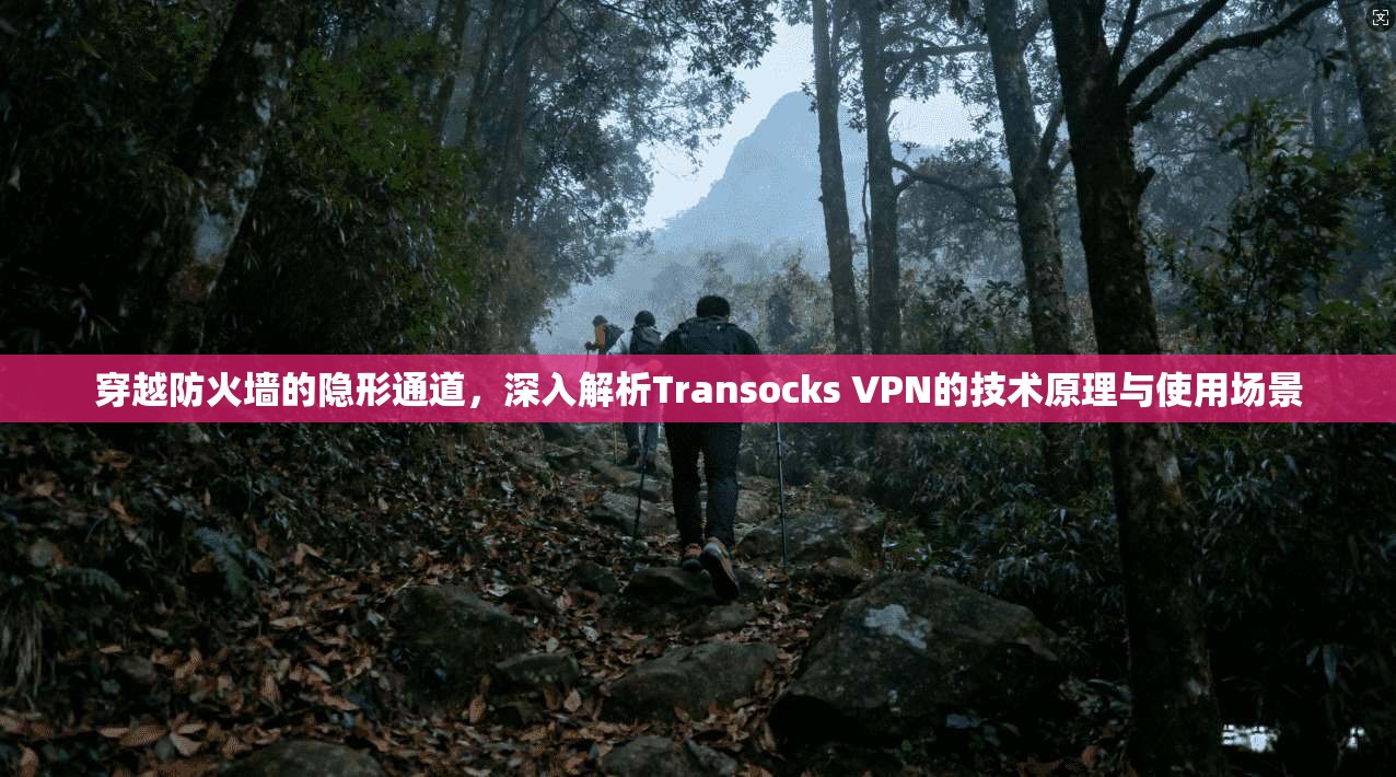 穿越防火墙的隐形通道，深入解析Transocks VPN的技术原理与使用场景