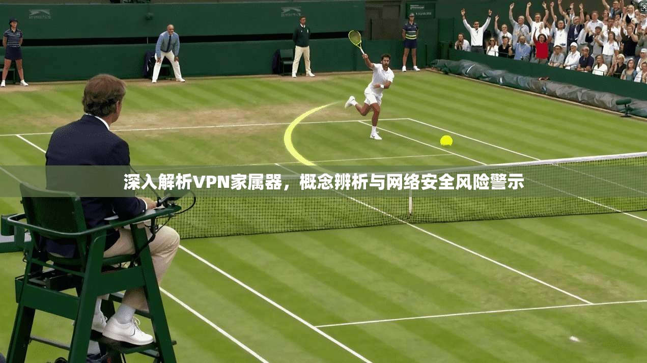 深入解析VPN家属器，概念辨析与网络安全风险警示