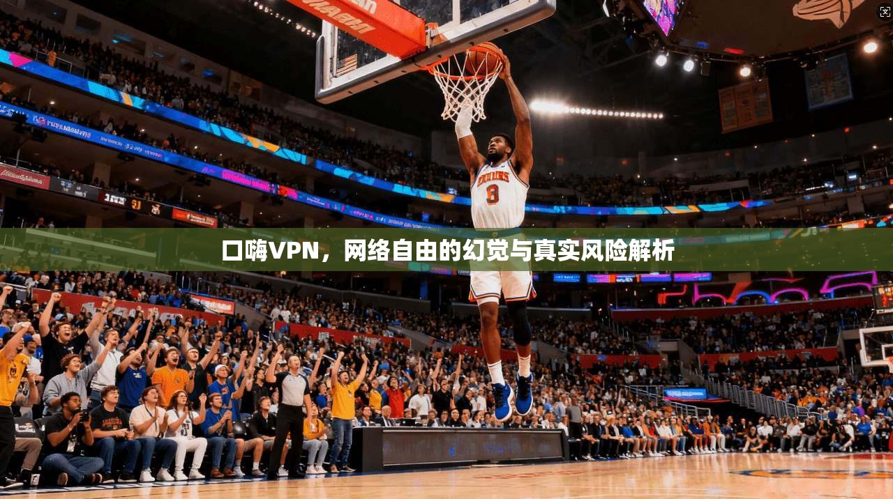 口嗨VPN，网络自由的幻觉与真实风险解析