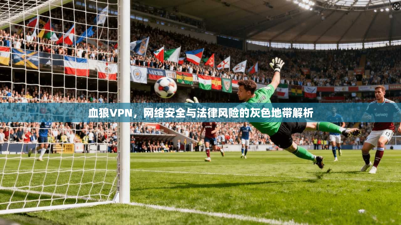 血狼VPN，网络安全与法律风险的灰色地带解析