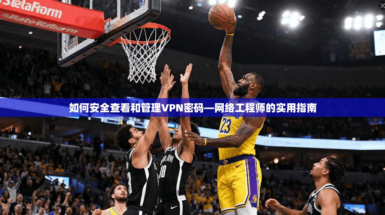 如何安全查看和管理VPN密码—网络工程师的实用指南
