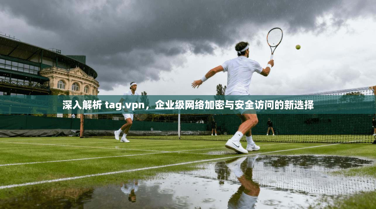 深入解析 tag.vpn，企业级网络加密与安全访问的新选择