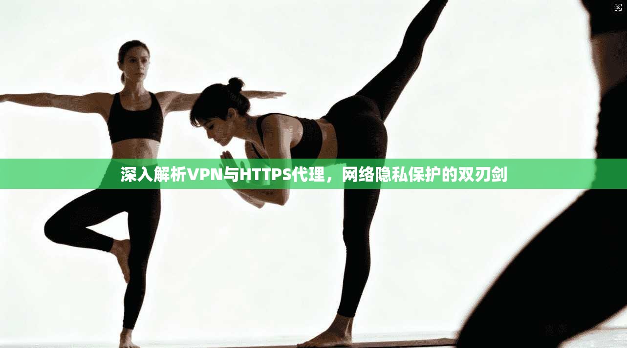 深入解析VPN与HTTPS代理，网络隐私保护的双刃剑