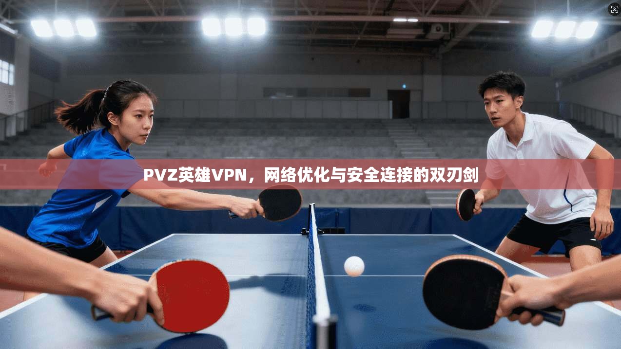 PVZ英雄VPN，网络优化与安全连接的双刃剑