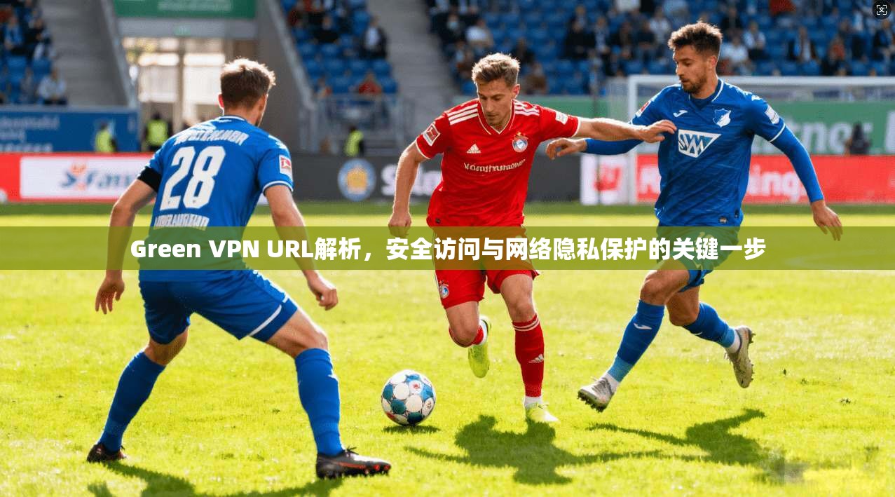 Green VPN URL解析，安全访问与网络隐私保护的关键一步