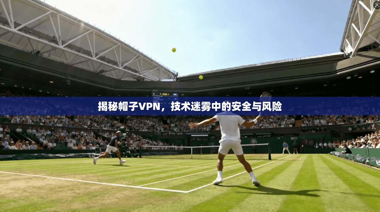 揭秘帽子VPN，技术迷雾中的安全与风险