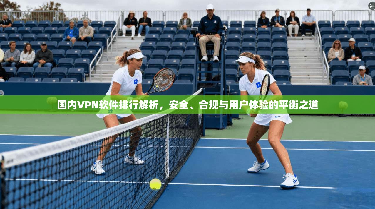 国内VPN软件排行解析，安全、合规与用户体验的平衡之道