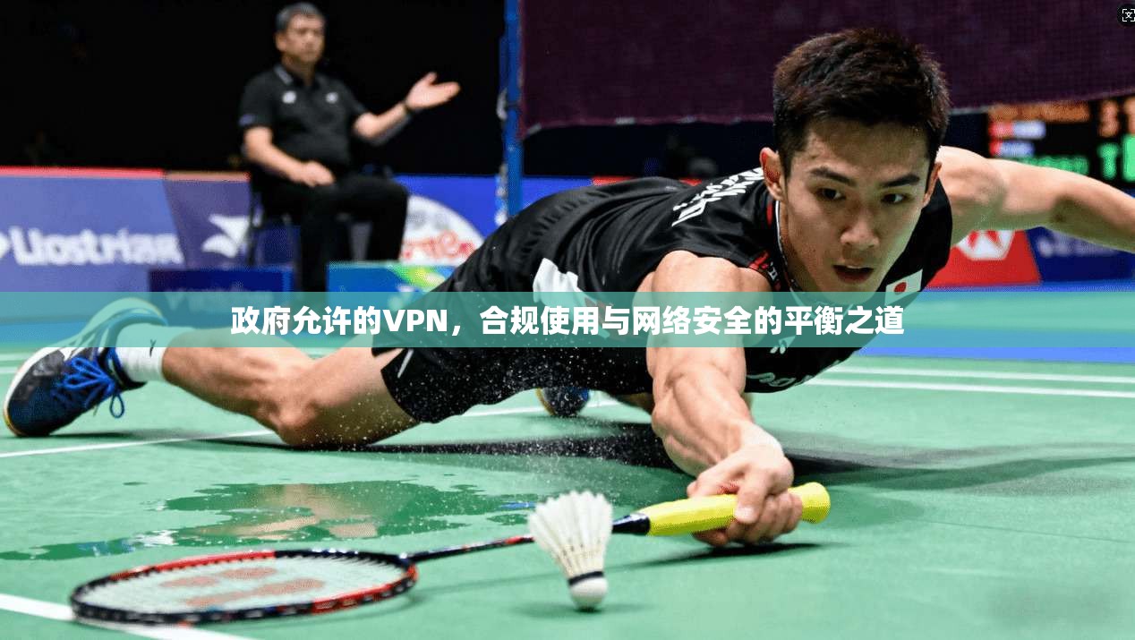 政府允许的VPN，合规使用与网络安全的平衡之道