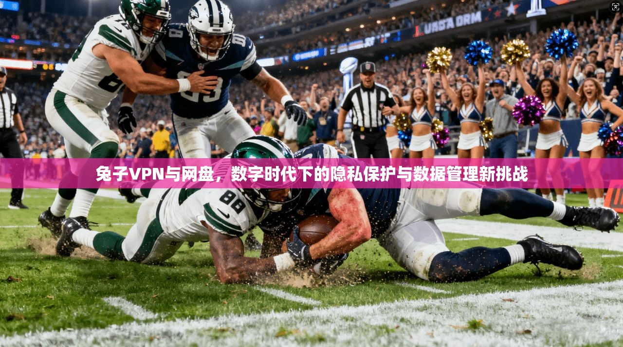 兔子VPN与网盘，数字时代下的隐私保护与数据管理新挑战